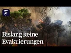 Waldbrand in Spanien zerstört rund 2.200 Hektar