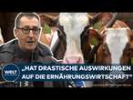 CEM ÖZDEMIR: Maul- und Klauenseuche bedroht Tierhaltung! Agrarminister setzt auf strenge Maßnahmen