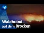 Waldbrand auf dem Brocken weitet sich aus