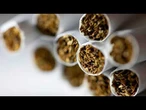 Espagne : un réseau de contrebande de tabac démantelé, 20 millions de cigarettes saisies