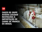 Gripe Aviária: Restrição chinesa deve custar mais de US$ 100 milhões ao mês | CNN PRIME TIME