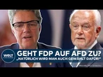 FDP: Nach Wahl von Kubicki! Partei äußert sich zur AfD und der Wahl in Sachsen-Anhalt