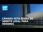 Câmara aprova projeto que suspende norma sobre aborto legal de menores | O POVO News