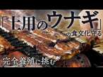 【土用の丑】「土用のウナギ」の食文化守る　完全養殖で天然稚魚不要【映像でわかる】