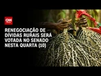 Projeto de renegociação de dívidas rurais será votado no Senado | CNN AGRO NEWS