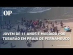 Menino de 11 anos é mordido por tubarão em praia de Pernambuco neste domingo