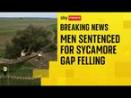 Two men who felled Sycamore Gap tree jailed for four years and three months each