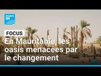 En Mauritanie, les oasis menacées par le changement climatique • FRANCE 24