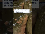 The Berlin Zoo has welcomed a baby hippo, the first offspring of 13-year-old Nala