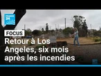 Incendies à Los Angeles : six mois après, les sinistrés toujours face au traumatisme