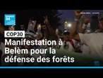 COP30 : manifestation à Belèm pour la défense des forêts et des droits fonciers • FRANCE 24