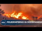 FLAMMENINFERNO IN ANDALUSIEN: Große Tragödie! Verheerender Waldbrand fordert mindestens zwölf Tote!
