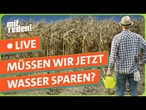 "Trockenheit in Deutschland - müssen wir jetzt Wasser sparen? "| mitreden.ard.de