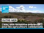 Nouvelle-Calédonie : l'eau, une ressource devenue précieuse pour les agriculteurs • FRANCE 24