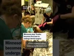 Minnesota bear Tundra becomes first bear to undergo dental surgery