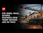 Análise: Setores poupados veem Trump separar joio do trigo | LIVE CNN