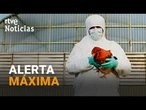 ALARMA por la GRIPE AVIAR, que ya HA PROVOCADO MILLONES de SACRIFICIOS | RTVE Noticias