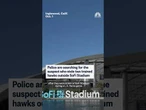 Police are searching for the suspect who stole two trained hawks outside SoFi Stadium