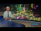 tagesthemen 21:50 Uhr, 27.07.2026