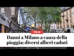 MILANO, danni del maltempo: diversi alberi caduti