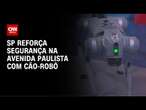 Programa de segurança usa cão-robô na Avenida Paulista | AGORA CNN