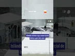 Islândia retoma caça comercial de baleias após dois anos