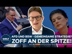 AFD & BSW: Zusammenarbeit? Wagenknecht ist deutlich! Diese Strategie fährt Parteichef Tino Chrupalla