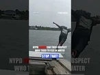 WATCH: NYPD officer dives in after suspect who fled into the water #shorts #nypd #water #suspectruns