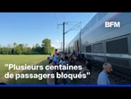 Canicule: un TGV arrêté en pleine voie au nord de Lyon depuis plusieurs heures