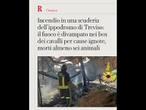 Treviso, divampa un incendio nell'ippodromo: morti sei cavalli