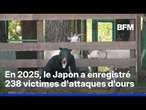 Japon: des exercices pour se préparer à intervenir face à un ours sont organisés dans les écoles