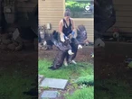 Bald eagles pried apart after getting tied up during tussle in Canada