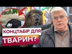 МЕРТВИЙ СТРАУС, ТІСНІ ВОЛЬЄРИ, ЗМУЧЕНА ЛЕВИЦЯ! ЖЕСТЬ В ОДЕСЬКОМУ ЗООПАРКУ! Ось, що каже директор!