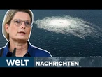 NORD-STREAM ANSCHLAG: Mutmaßlicher Angreifer festgenommen – wer sind die Hintermänner?
