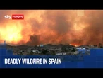Wildfires sweep across southern Spain, killing at least 11 people