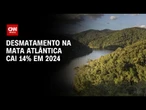 Brasil registra queda de 14% em desmatamento na Mata Atlântica, diz estudo | BASTIDORES CNN