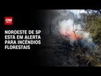 Noroeste de SP entra em alerta para queimadas após 50 dias sem chuva | BASTIDORES CNN