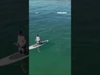 Chilling footage: Great white approaches paddleboarder #shorts #foxnews #news #viral #us