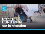 Soudan : le chef de l'ONU appelle à mettre fin au "cauchemar de la violence" • FRANCE 24