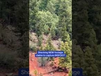 Shocking footage claims to capture Bigfoot