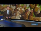 tagesthemen 21:45 Uhr, 25.10.2025