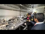 Polícia apreende mais de seis toneladas de barbatanas de tubarão no Peru | AFP