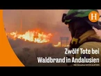 Hitze erhöht Waldbrandgefahr in Teilen Westeuropas