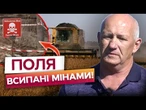 По 200 кг ЗАМІСТЬ 3 тонн! Поля ЗАМІНОВАНІ! В Україні РЕКОРДНО НИЗЬКИЙ врожай