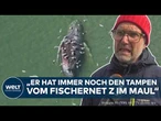 WAL-DRAMA: "Was hat dem Tier gefehlt?" Mehrere Gerichtsverfahren nach dem Tod von Timmy!