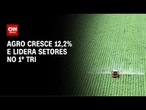 Alta do PIB: agro cresce 12,2% e lidera setores no 1º tri | LIVE CNN