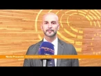 Ue, Procaccini "Dilazione regole automotive sia più lunga possibile"