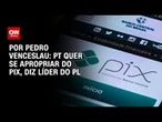 Líder do PL: PT quer se apropriar do Pix, diz líder do PL | CNN ARENA