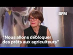 Annie Genevard, ministre de l'Agriculture, était l'invitée du Midi BFM