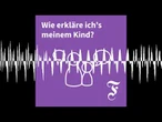 Was das Tolle an Wespen ist - F.A.Z. Wie erkläre ich’s meinem Kind?